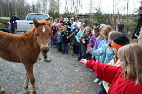 Historic group learning with a horse at the ranch