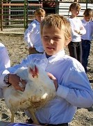 Historic image from Matti Martin's 4-H chicken project