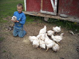 Matti Martin caring for chickens on the family farm